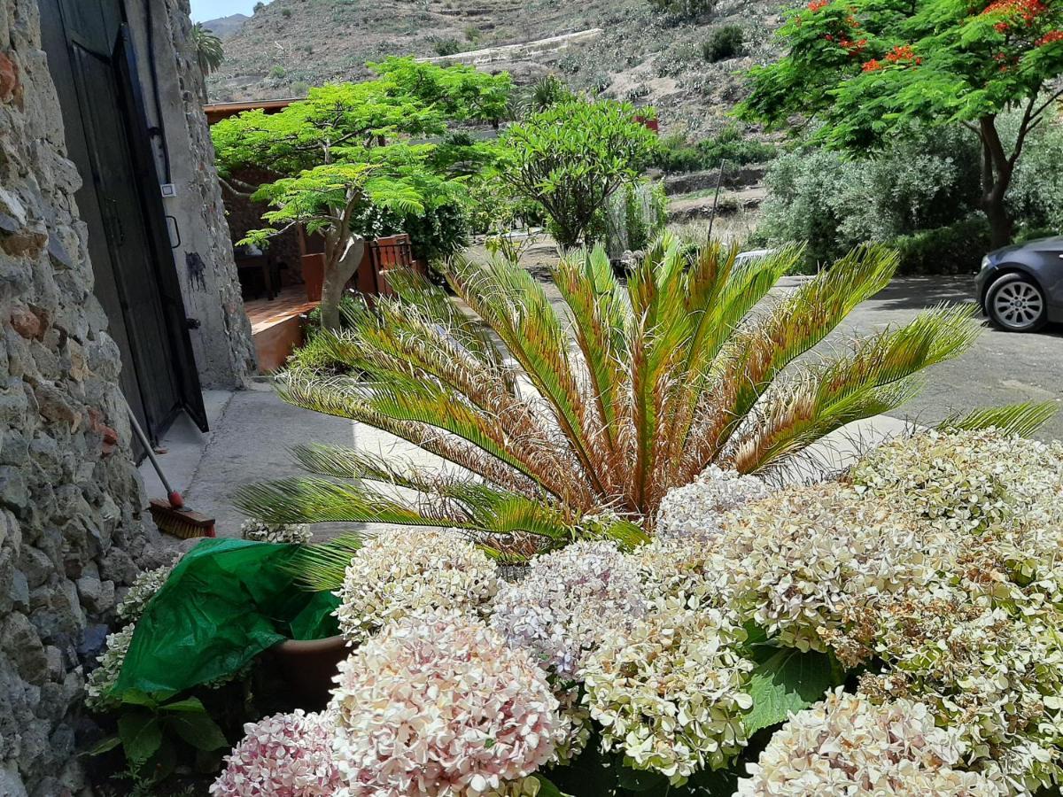 Peaceful House Set On A Vineyard & Work Friendly Valsequillo de Gran Canaria