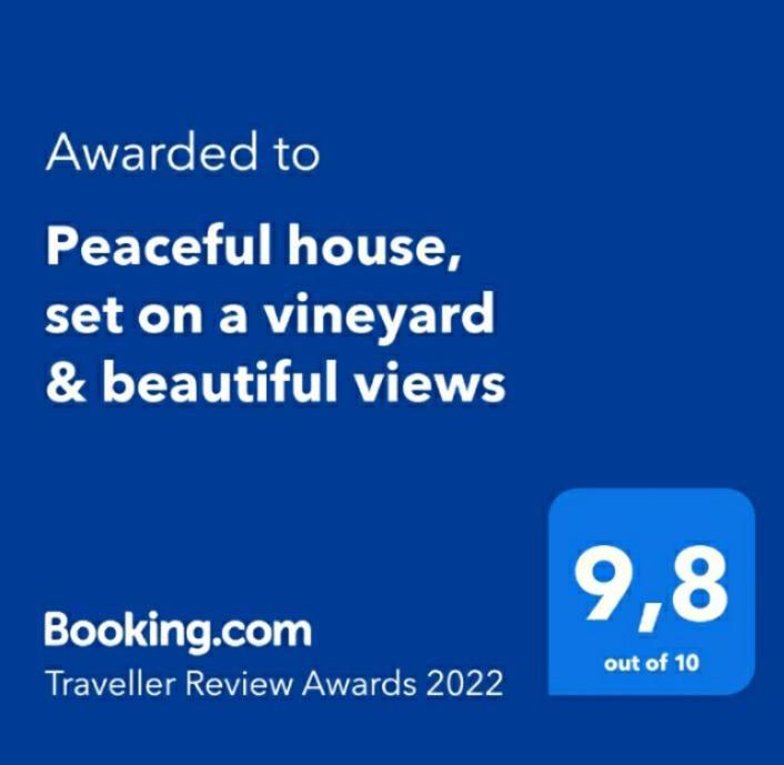 Peaceful House Set On A Vineyard & Work Friendly Valsequillo de Gran Canaria