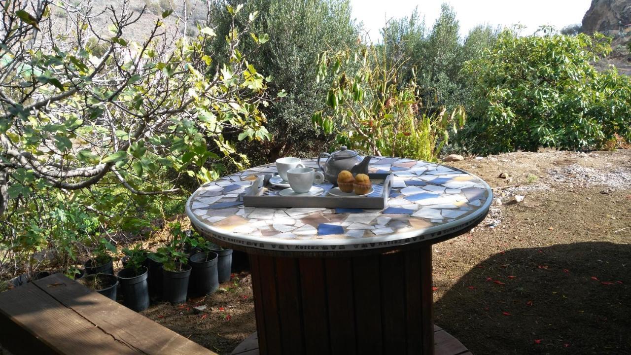 Peaceful House Set On A Vineyard & Work Friendly * Valsequillo de Gran Canaria