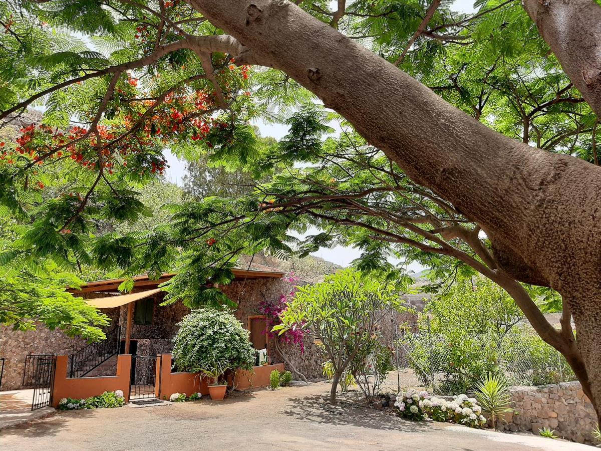 Holiday home Peaceful House Set On A Vineyard & Work Friendly