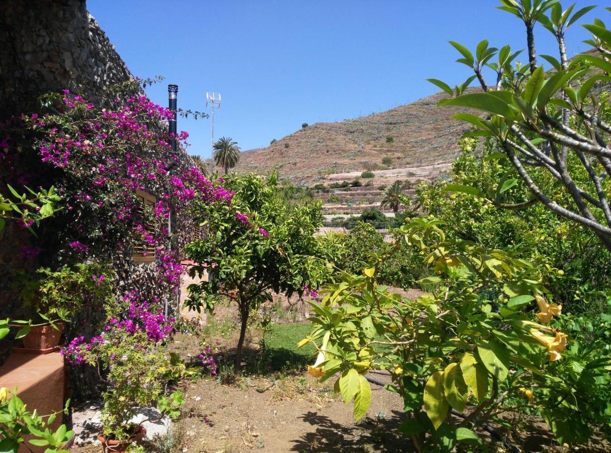 Holiday home Peaceful House Set On A Vineyard & Work Friendly