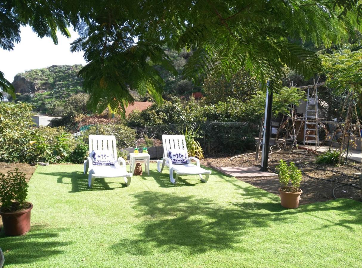 Peaceful House Set On A Vineyard & Work Friendly * Valsequillo de Gran Canaria